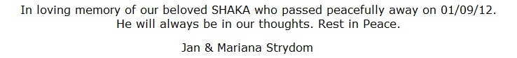 Shaka Strydom Shaka Strydom